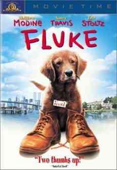  / Fluke (1995)